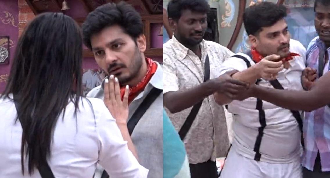 బిగ్ బాస్ తెలుగు: హిమజ, అలీ గొడవతో మొదలై&#8230; రవికృష్ణ చేతికైన గాయంతో ముగిసింది